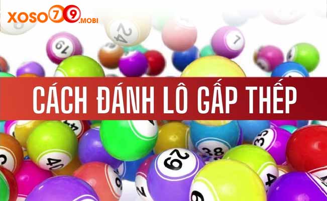 Chia sẻ cách nuôi lô gấp thếp từ các lô thủ lâu năm